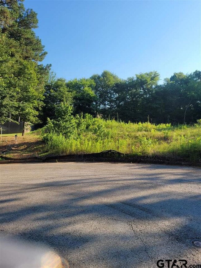 1243 Rainmaker, Tyler, TX 75703 - photo 7