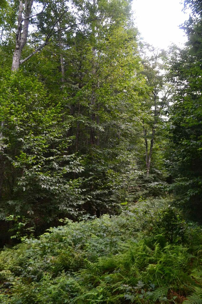 off Chandler Hill Rd, Campton, NH 03223 - photo 2