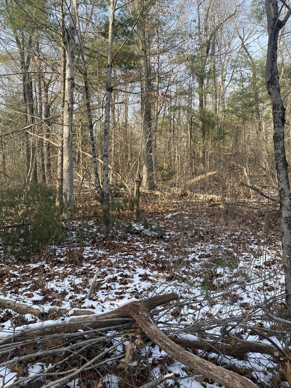 121 & lt12 Sturbridge Rd, Brimfield, MA 01010 - photo 3