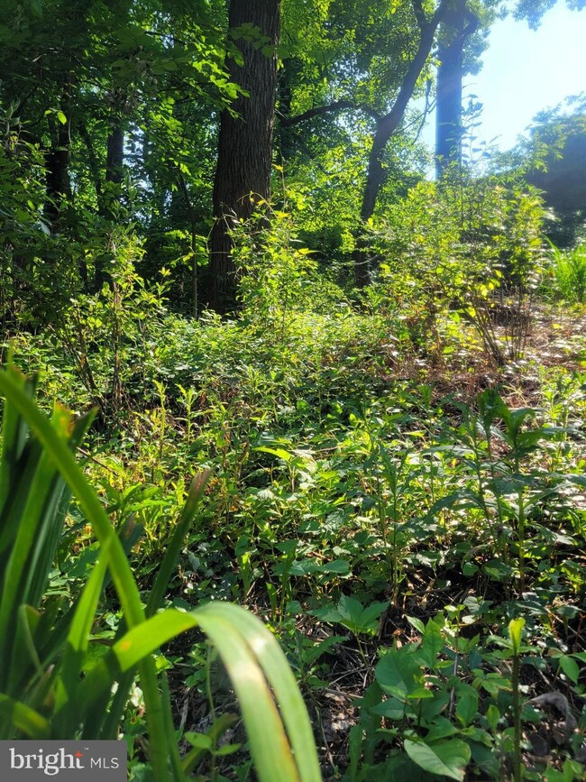 111 Cross Keys Rd unit R111D, Baltimore, MD 21210 - photo 6