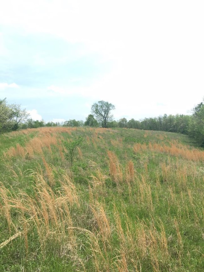 1089 5 Lick Rd, Mount Olivet, KY 41064 - photo 4