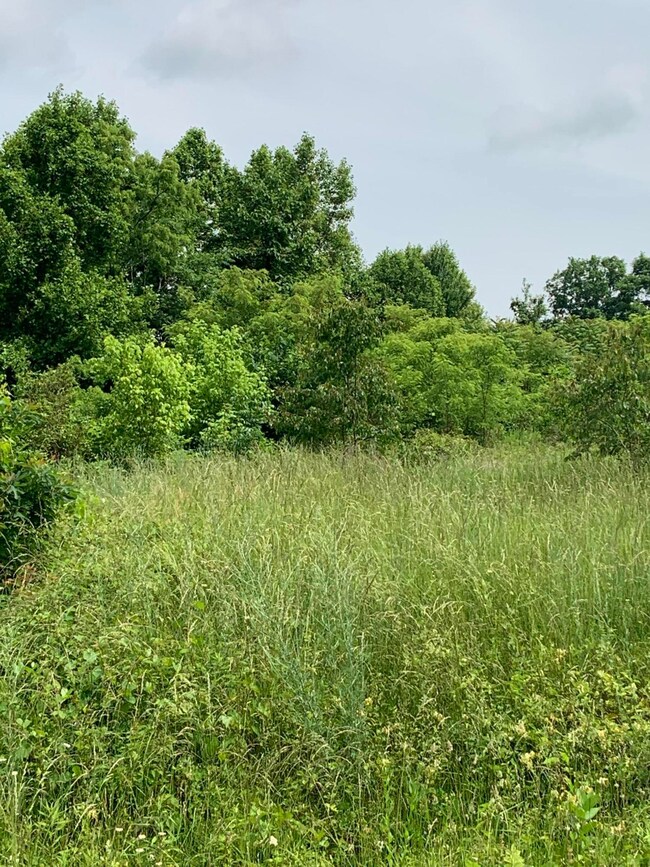 B16FBAFA-F3D8-4755-8E15-9407EB768448