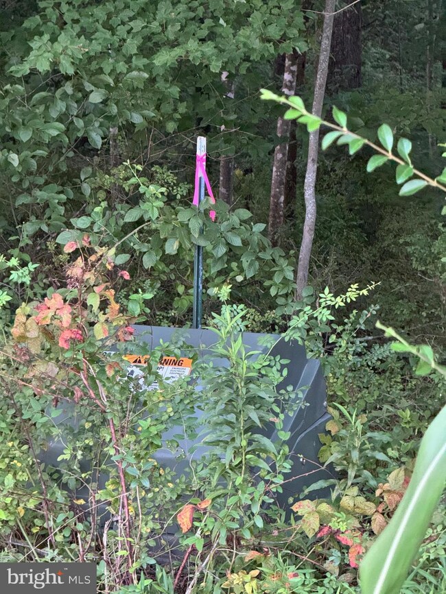 0 Mountain Ridge Way unit VACU2008546, Culpeper, VA 22701 - photo 7