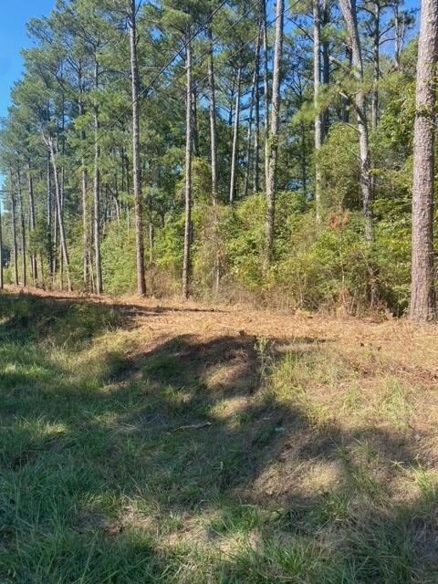 0 NE Maddox Chapel Rd unit 127793, Dalton, GA 30721 - photo 2