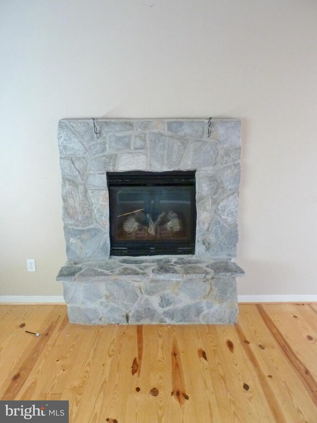 5610 Crooked Run Rd, Mount Jackson, VA 22842 - photo 7