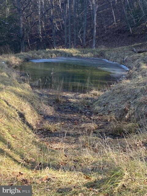 24 Strauter, Franklin, WV 26807 - photo 2