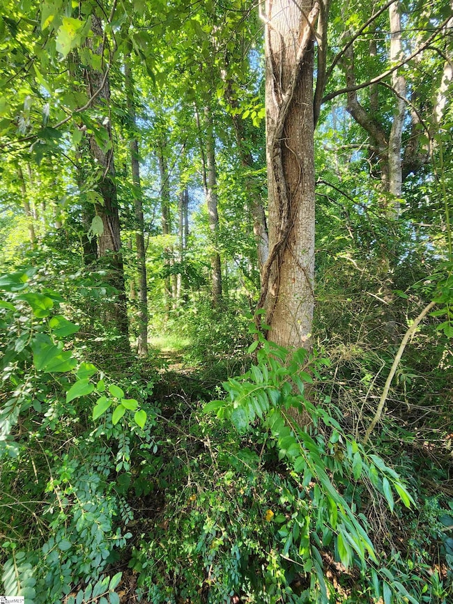 103 Quail Haven Dr unit 493 Odom Road, Easley, SC 29642 - photo 5