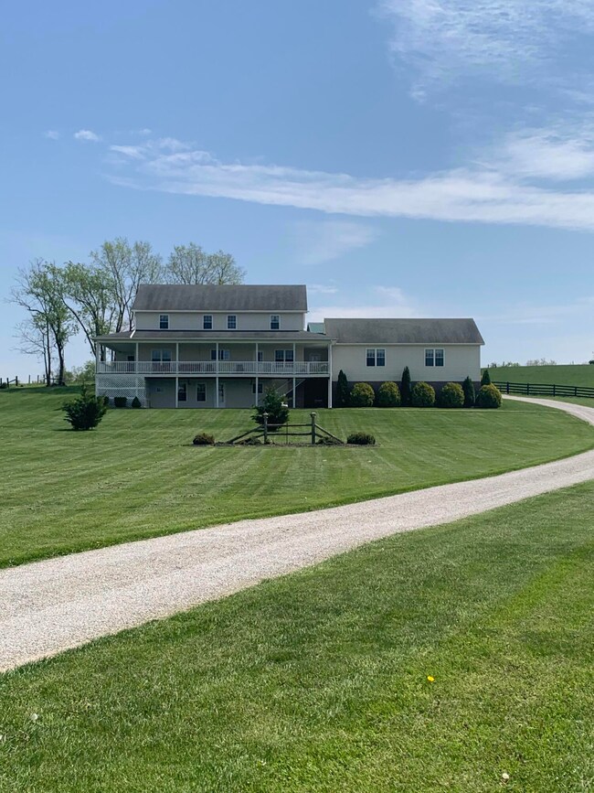 6542 Helena Rd, Mayslick, KY 41055 - photo 6