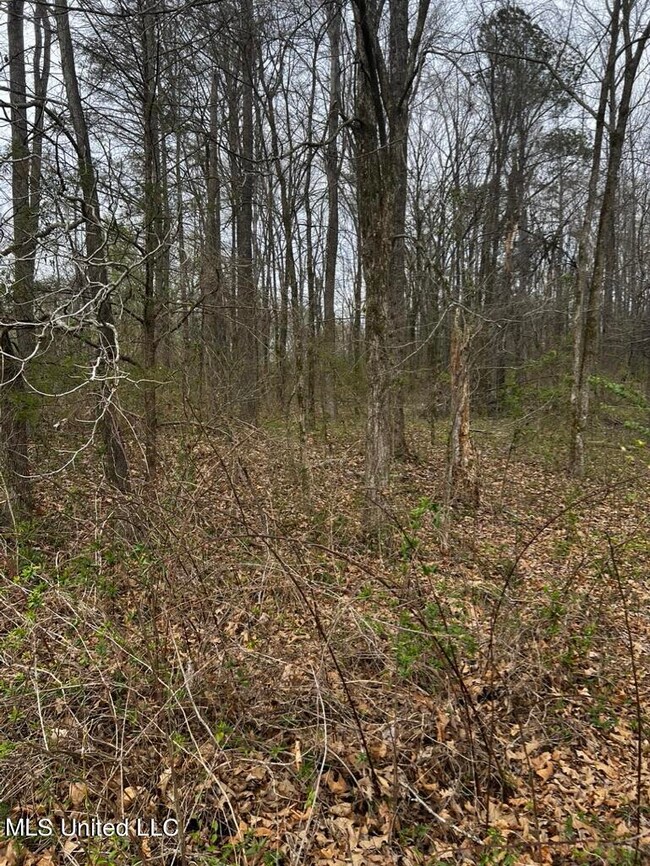 4291FA2D-52E2-44FF-B5E5-CC31A101CBED_1_1