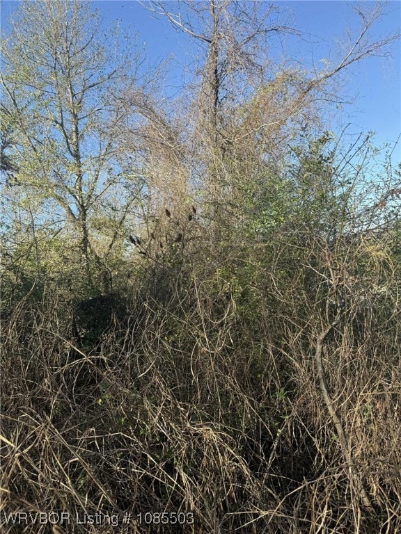 Tract 13 Lakeview Dr, Spiro, OK 74959 - photo 2