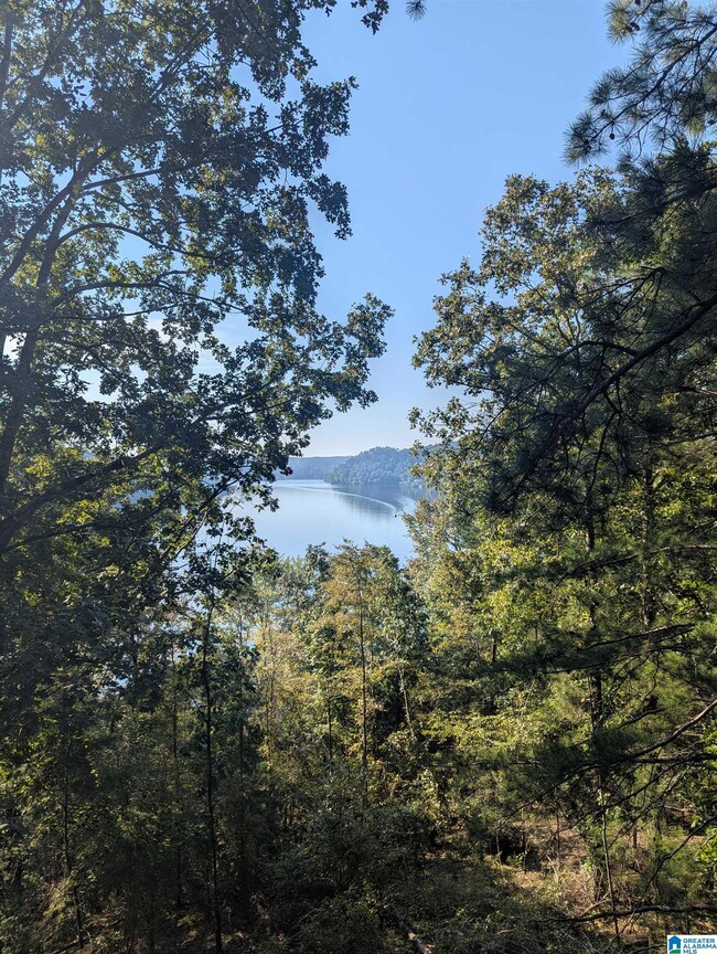 0 County Road 834 unit 3 acre, Clanton, AL 35046 - photo 3