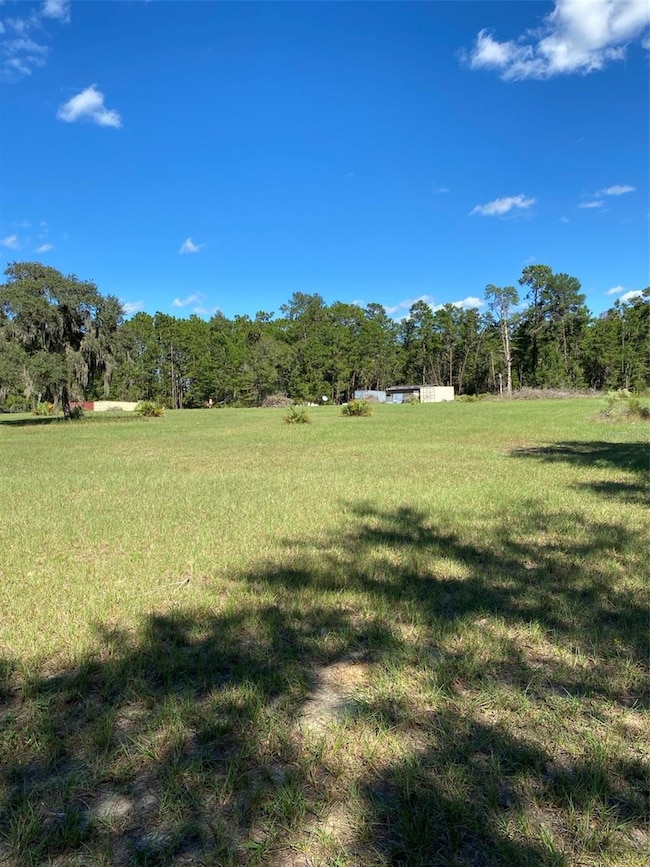 17171 SW 17th Cir, Ocala, FL 34473 - photo 3