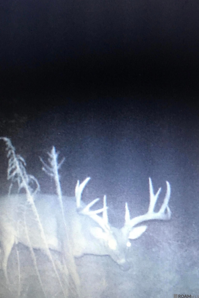 01 Stampley Rd, Roxie, MS 39661 - photo 7