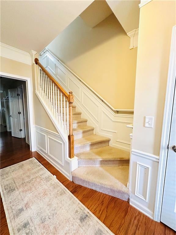 Lower level entry foyer