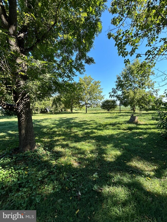 9621 Flatland Rd, Chestertown, MD 21620 - photo 3