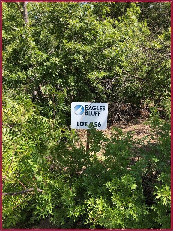 256 Eagles Ridge Ct, Weatherford, TX 76087 - photo 2