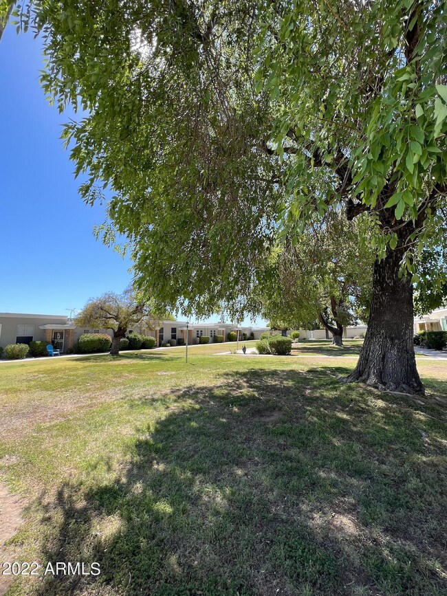 Screen Shot 2022-06-15 at 11.34.50 AM