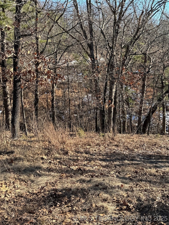 34443 S 539 Rd, Jay, OK 74346 - photo 2