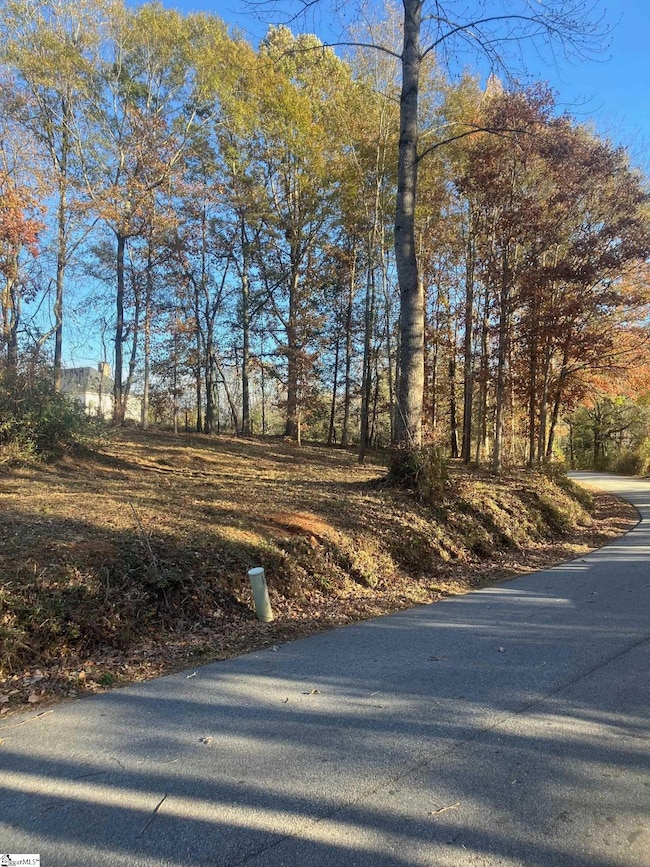 38 Coster Rd, Travelers Rest, SC 29690 - photo 5