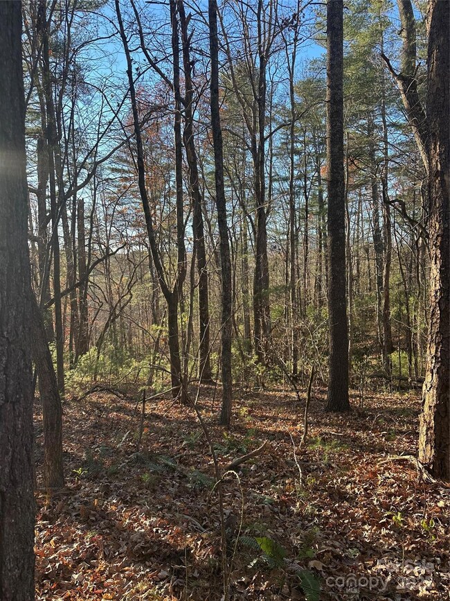 45 Westview Dr, Marion, NC 28752 - photo 6