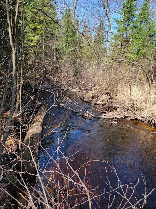 ON Luds Ln, Loretta, WI 54896 - photo 7