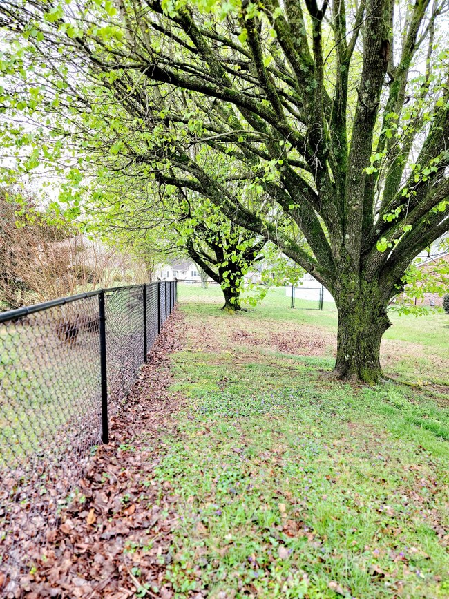 210 Megan Cir, Shelbyville, TN 37160 - photo 5