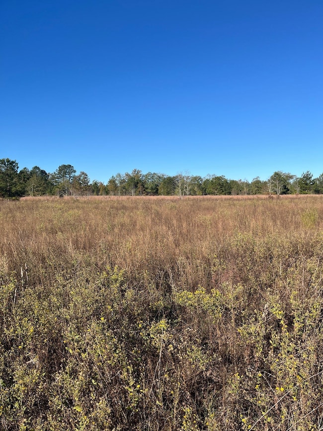 Bhl 3 Boise Cascade Rd, Bethune, SC 29009 - photo 4