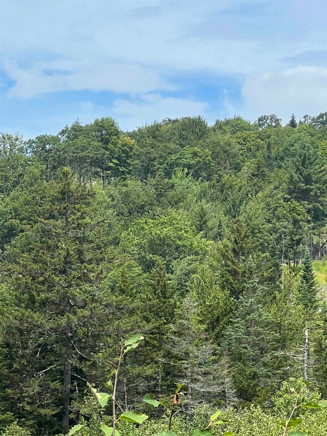 1156 N Groton Rd, Groton, NH 03266 - photo 7