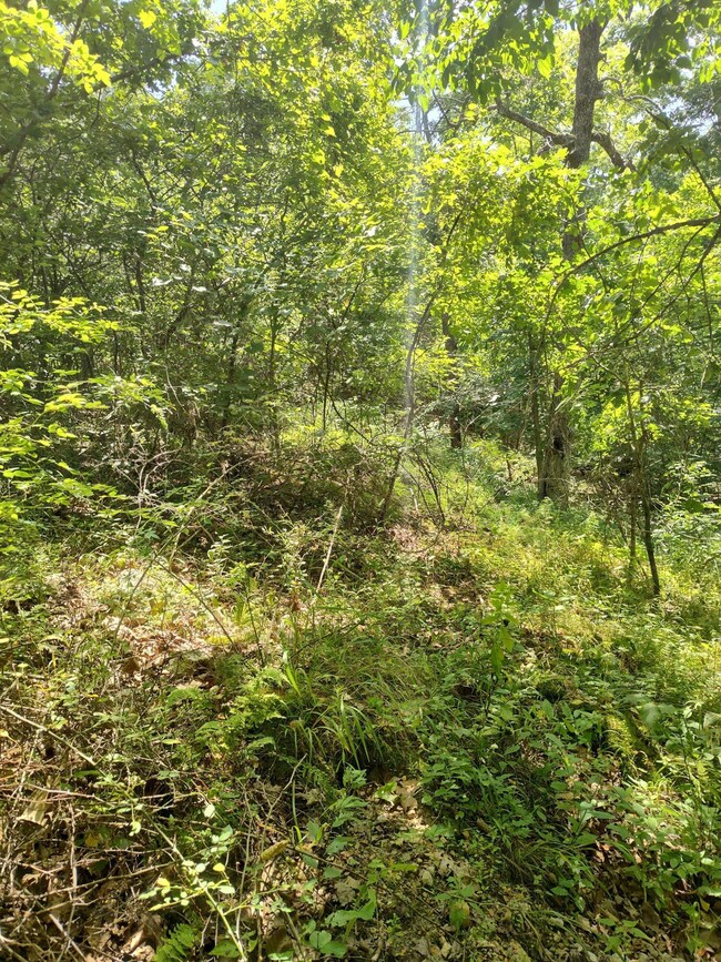 IMG_20250711_114231860_HDR