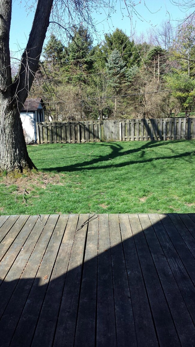 Backyard 1