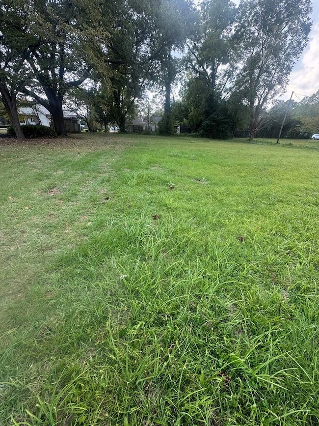 00 Woodrow Ave, Dublin, GA 31021 - photo 2