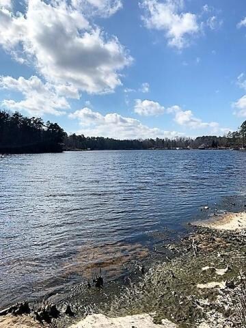 20190207171005518107000000-o