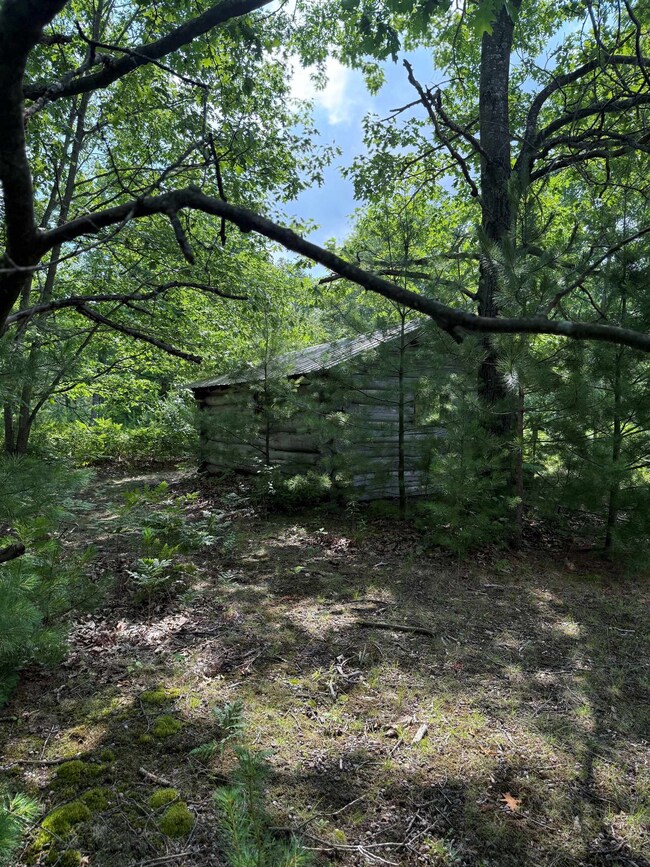 VL 61.11 Acres E Howard Rd, Hay Township, MI 48612 - photo 3