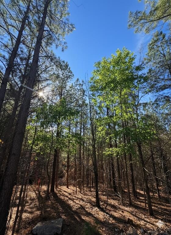 5 Sugarberry Trail, Broken Bow, OK 74728 - photo 4