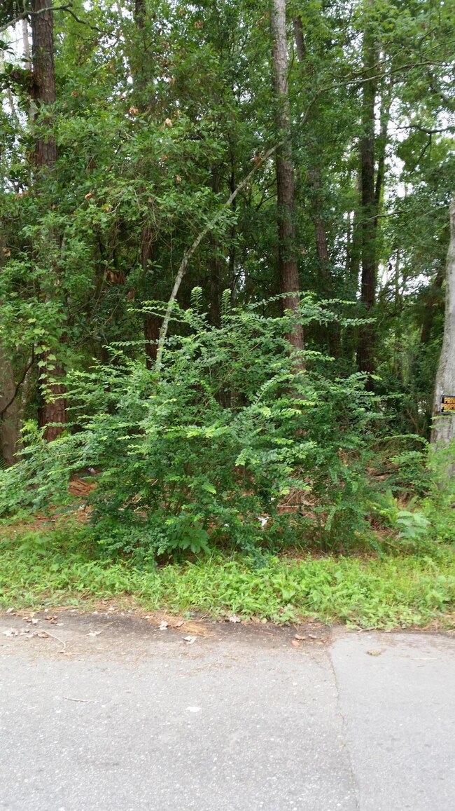 LOT 5 Delacy Rd, Jacksonville, FL 32244 - photo 2