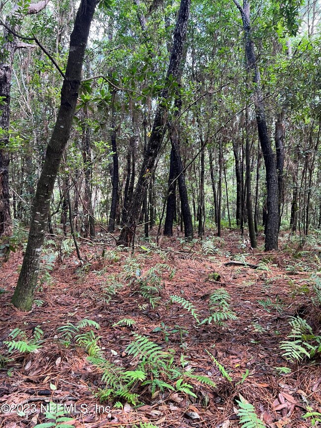 0B034278-60B4-4648-803F-4D19E2A98363