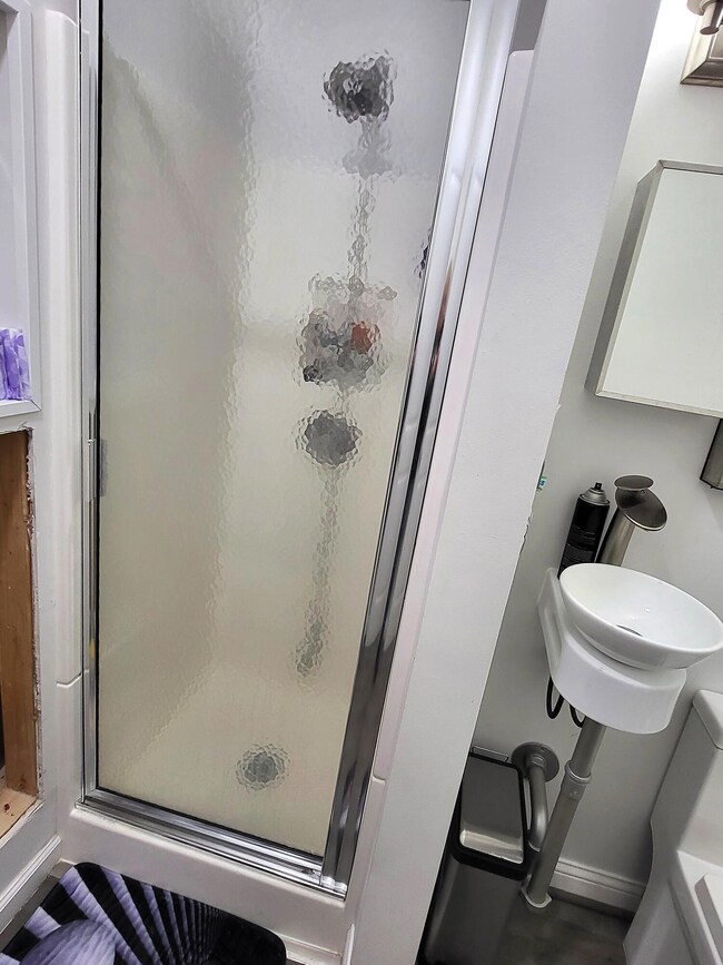 Primary Bathroom Shower