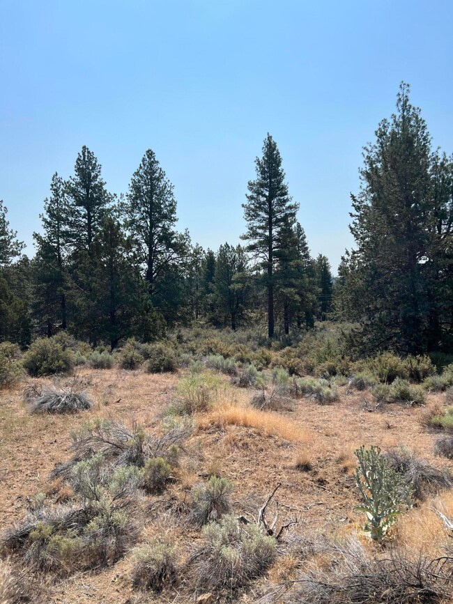 0 Klamath Forest Estates unit 220185814, Chiloquin, OR 97624 - photo 3