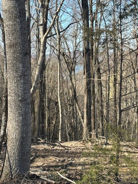 00 Garrett Ln, Allons, TN 38541 - photo 3