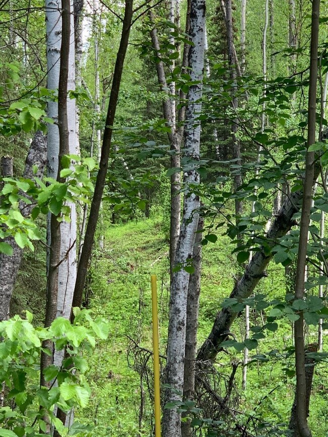 13765 W Holly Loop, Big Lake, AK 99652 - photo 6