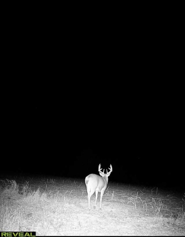 1249 4th St, Dwight, KS 66849 - photo 7