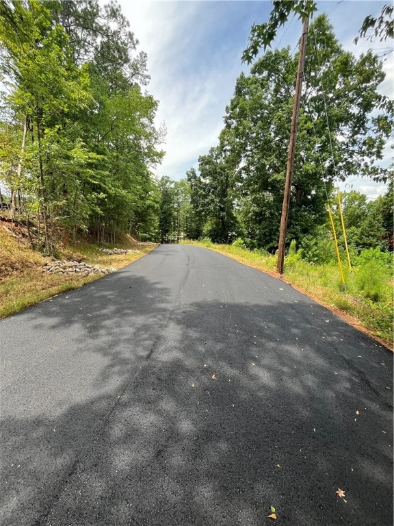 0 Cheyenne Ln unit 171464, Dadeville, AL 36853 - photo 4