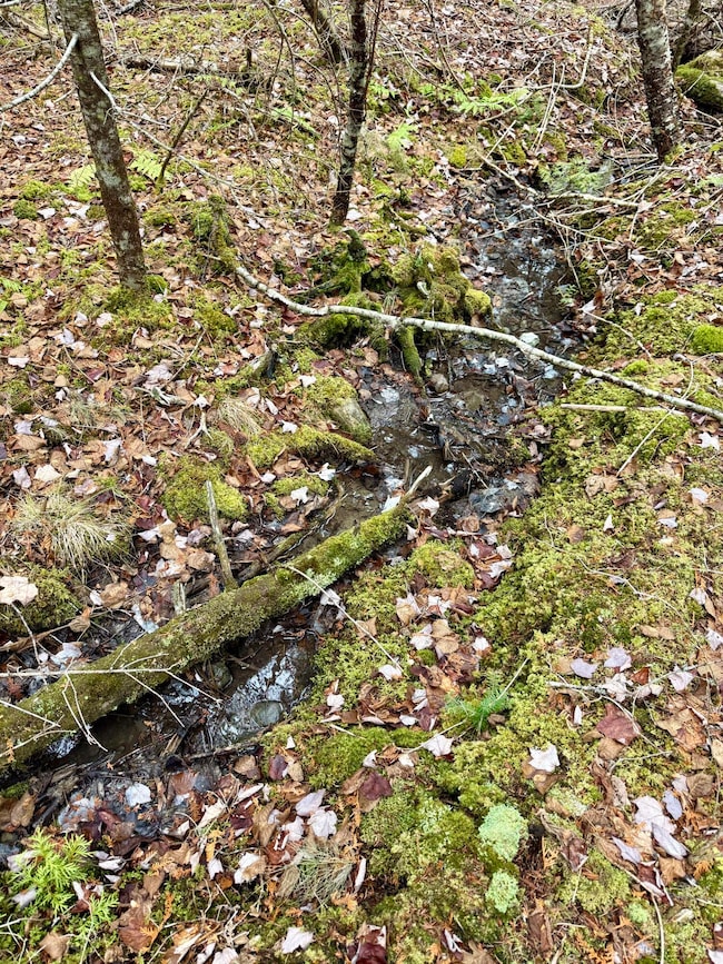 L1 Lively Brook Acres, Whiting, ME 04691 - photo 5