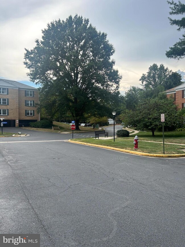 7721 Tremayne Place unit 304, McLean, VA 22102 - photo 3