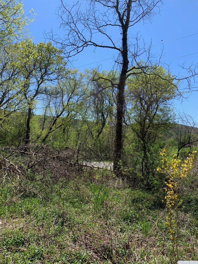 0 Goetz Rd, Canaan, NY 12060 - photo 2