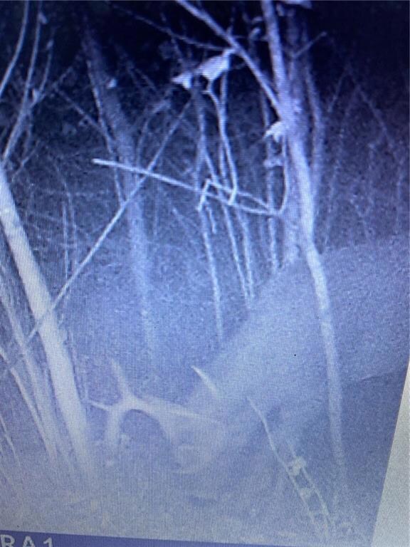 XX Donald Veto Ln, Galesville, WI 54630 - photo 6