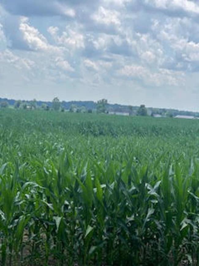 1000 Dinius Rd unit 1000 Blk., Tecumseh, MI 49286 - photo 2