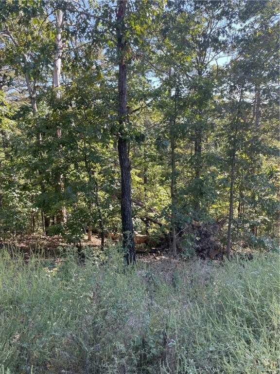 0 Hawnby Ln unit 1233701, Bella Vista, AR 72715 - photo 2