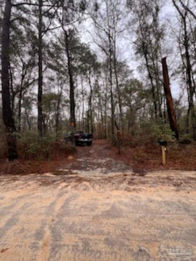 1329 Beaver Dam Rd, Bonifay, FL 32425 - photo 6