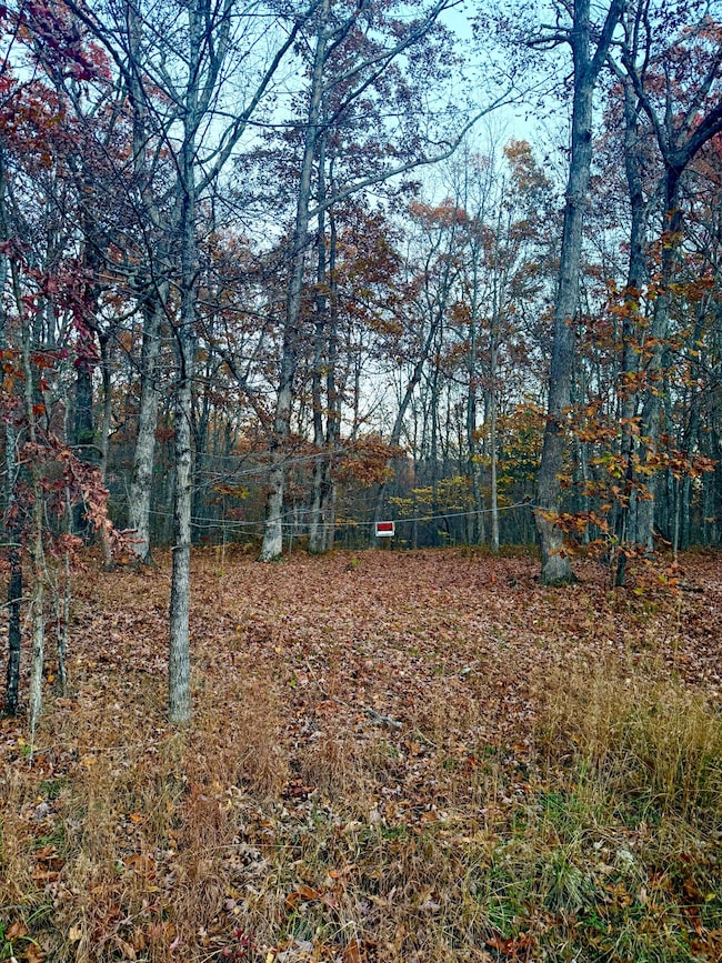 0 Deep Woods Rd, Sewanee, TN 37375 - photo 4